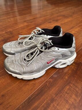 Nike Kids Silver Gray Sneakers with Red Swoosh